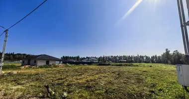 Plot of land in Biahomlski sielski Saviet, Belarus