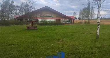 Restaurant 439 m² in Vysokauski sielski Saviet, Belarus