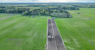 Działka w Szyrwinty, Litwa
