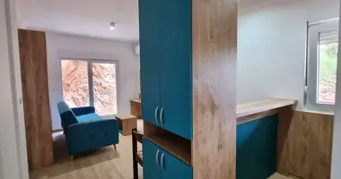 Apartamento 1 habitacion en Budva, Montenegro