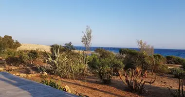 Grundstück in Agia Napa, Zypern