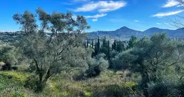 Plot of land in Agios Prokopios, Greece