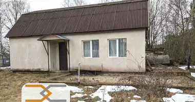 Дом в Пережирский сельский Совет, Беларусь