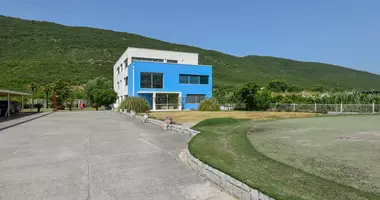 Commercial property 1 114 m² in Montenegro