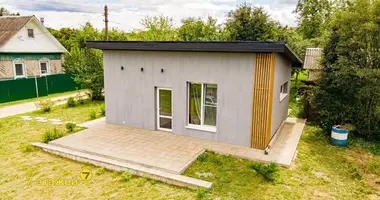 House in Pyatryshki, Belarus