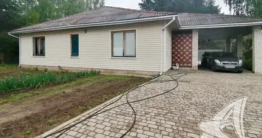 Dom w Klejnikauski selski Savet, Białoruś