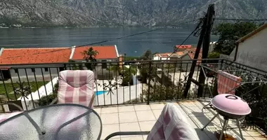 Mieszkanie 1 pokój w Kotor, Czarnogóra