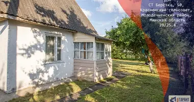 Дом в Красненский сельский Совет, Беларусь