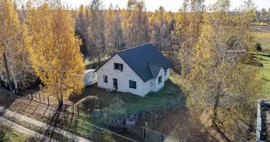 House in Turynski sielski Saviet, Belarus