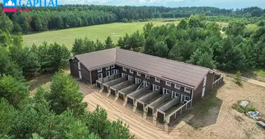 Nieruchomości komercyjne 878 m² w Zaiłgi, Litwa