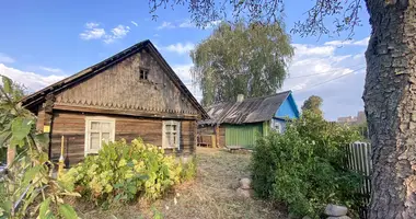 House in Uzdzienski sielski Saviet, Belarus