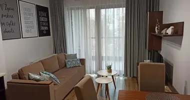 2 room apartment in Krakow, Poland