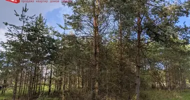 Grundstück in Padlabienski sielski Saviet, Weißrussland