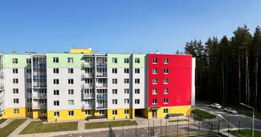 Apartamento en Zelenogorsk, Rusia