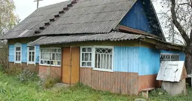 House in Sacki sielski Saviet, Belarus