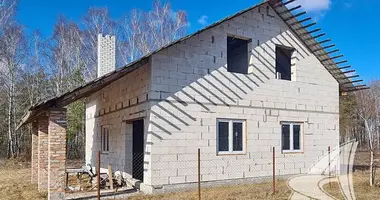 House in Znamienski sielski Saviet, Belarus