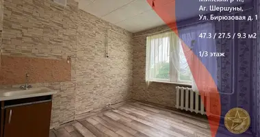 2 room apartment in Sarsunski sielski Saviet, Belarus