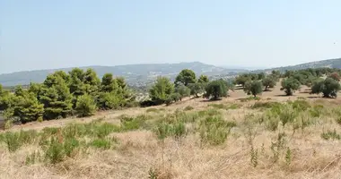 Plot of land in Kalandra, Greece