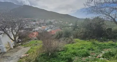 Terrain dans demos thasou, Grèce