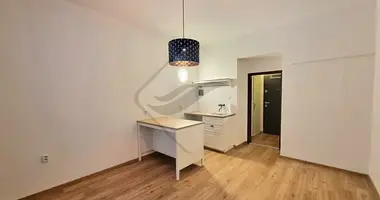 1 bedroom apartment in Prague, Czech Republic