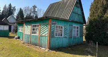 Maison dans Putcynski siel ski Saviet, Biélorussie