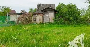 Plot of land in Znamienski sielski Saviet, Belarus