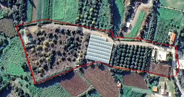 Plot of land in Paphos Municipality, Cyprus