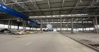 Gewerbefläche 300 m² in Kaliningrad, Russland