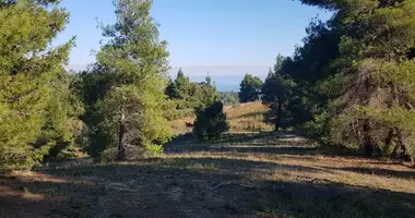 Terrain dans Paliouri, Grèce