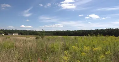 Plot of land in Swierzowa Polska, Poland