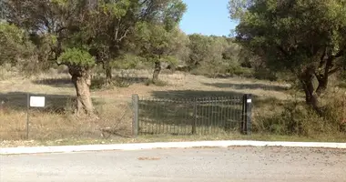 Terrain dans Psakoudia, Grèce