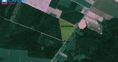 Plot of land in Narkunai, Lithuania