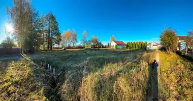 Terrain dans Dzamidavicki selski Savet, Bélarus