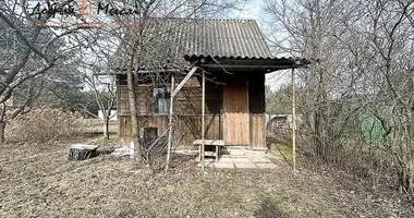 Haus in Rubiazevicki siel ski Saviet, Weißrussland