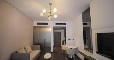 Studio apartment in Dubai, UAE