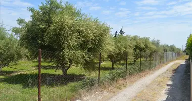 Terrain dans Corinthe, Grèce