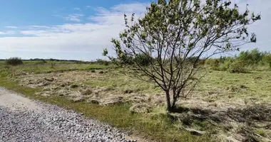 Plot of land in Graudusiai, Lithuania