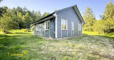 House in Rakauski sielski Saviet, Belarus