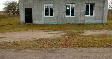 Haus in Izski sielski Saviet, Weißrussland