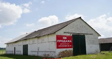 Commercial property 175 m² in Lieninski sielski Saviet, Belarus