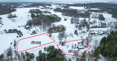 Plot of land in Kryziauka I, Lithuania