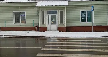 Дом в Слоним, Беларусь