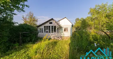 Plot of land in Rakauski sielski Saviet, Belarus