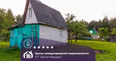 House in Naracanski sielski Saviet, Belarus