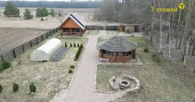 House in Veterevichi 2, Belarus