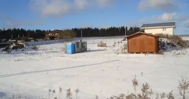 Plot of land in Bialarucki sielski Saviet, Belarus