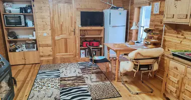 Haus 2 zimmer in Naracki siel ski Saviet, Weißrussland