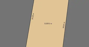 Plot of land in Lasanski sielski Saviet, Belarus