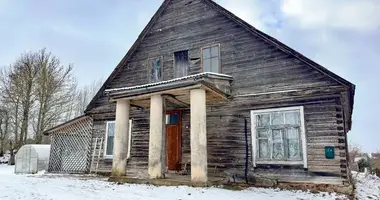 House in Rokiskis, Lithuania