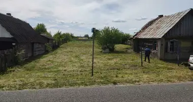 House in Klinok, Belarus